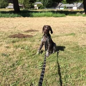 Meet your Posher, Justin